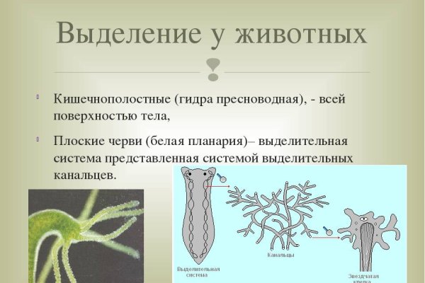 Забыл пароль кракен