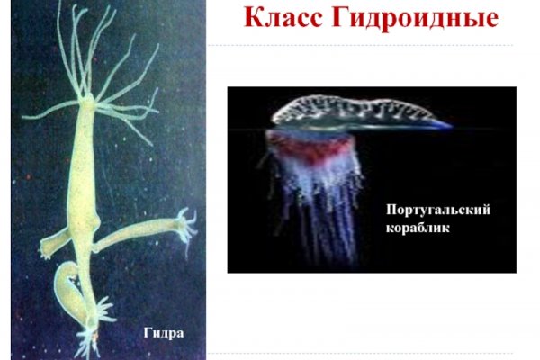 Kraken ссылка для тору