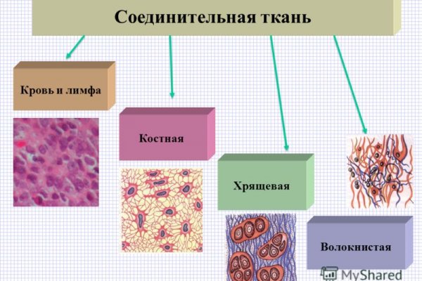 Восстановить доступ к кракену