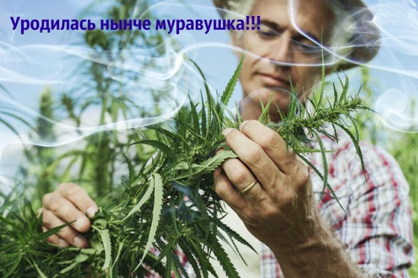 При входе на кракен пишет вы забанены