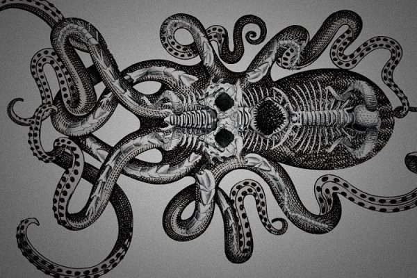 Kraken17 at