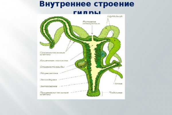 Как вывести деньги с кракена