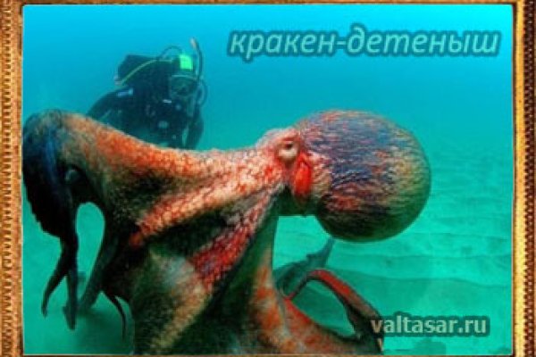 Кракен даркнет ссылка