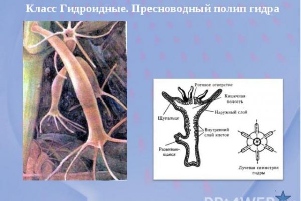 Кракен как зайти ссылка