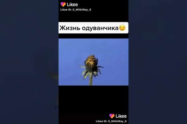Как зайти на гидру через тор браузер