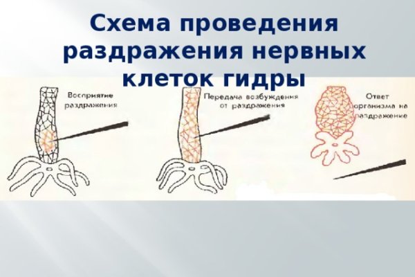 Где купить наркотиков