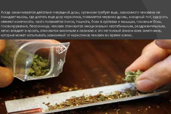 Mega darknet ссылка
